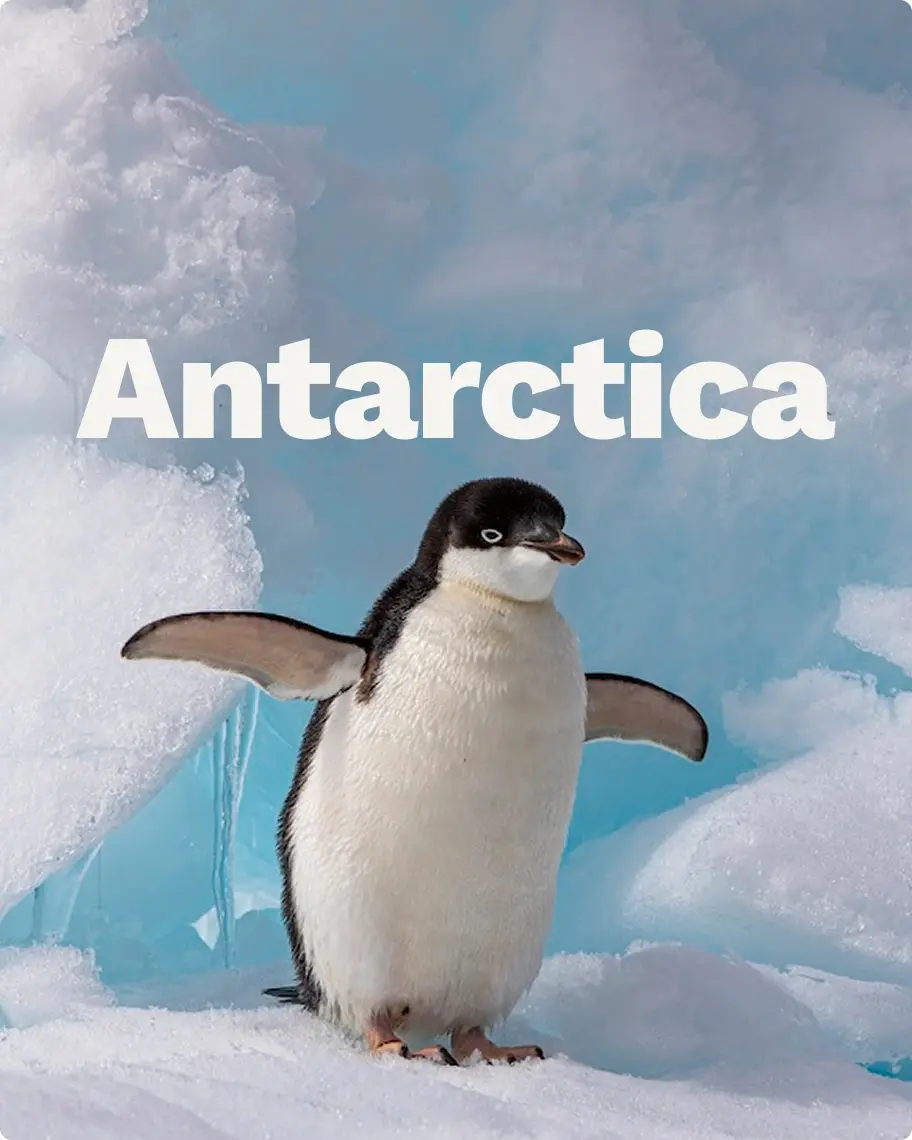 Antarctica tours poster